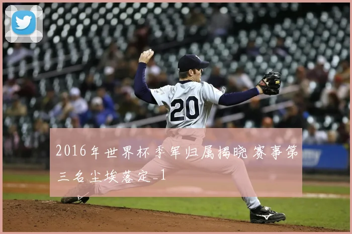 2016年世界杯季军归属揭晓 赛事第三名尘埃落定_1