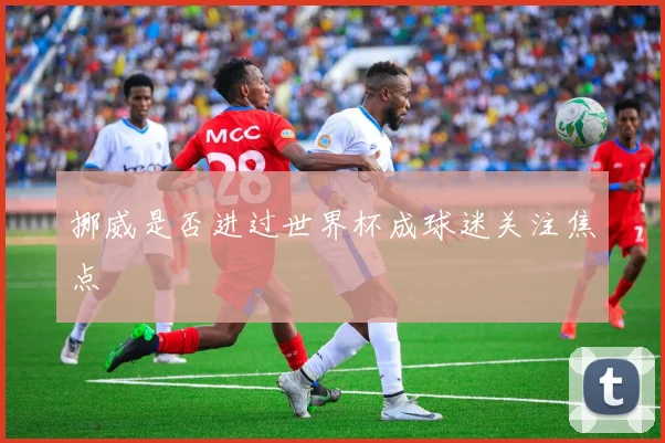 挪威是否进过世界杯成球迷关注焦点