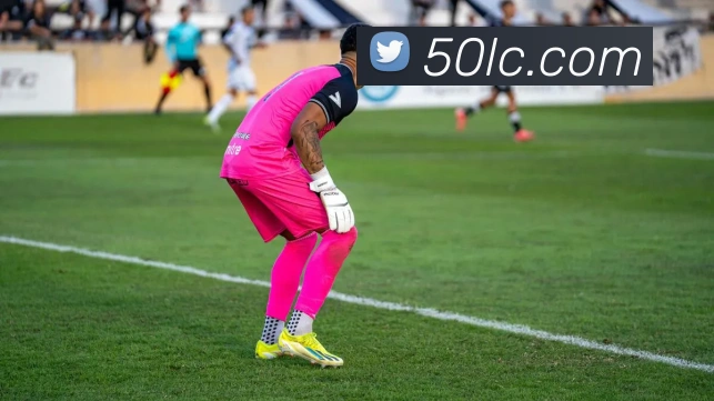 在线买世界杯平台平台生态图